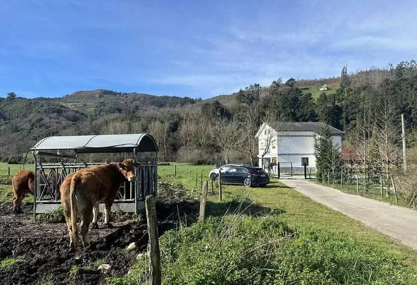 Apartamentos La Casa Del Zapatero
