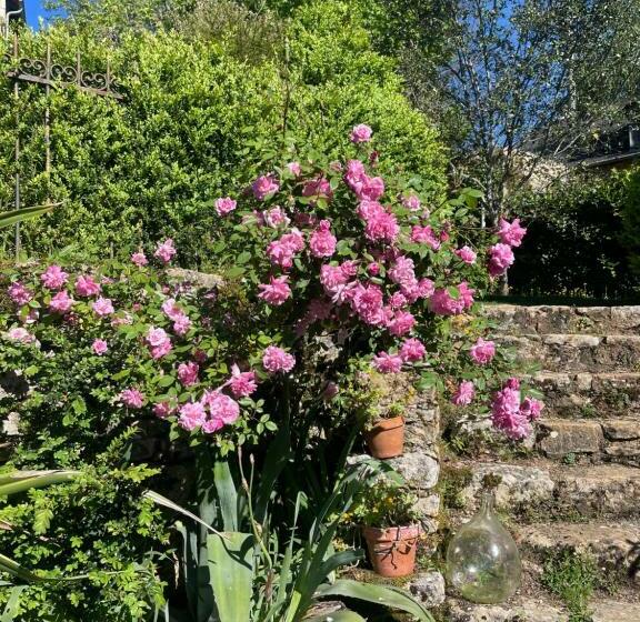 住宿加早餐  La Chambre D Oloa