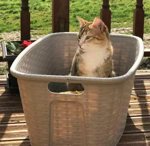 ベッドアンドブレックファースト La Maison De Laujol