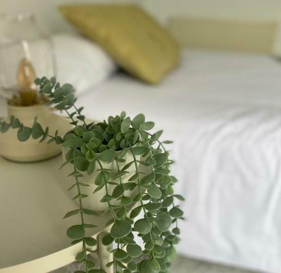 פנסיון El Lago