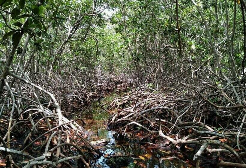 פנסיון Hostel Villa Luz Beach