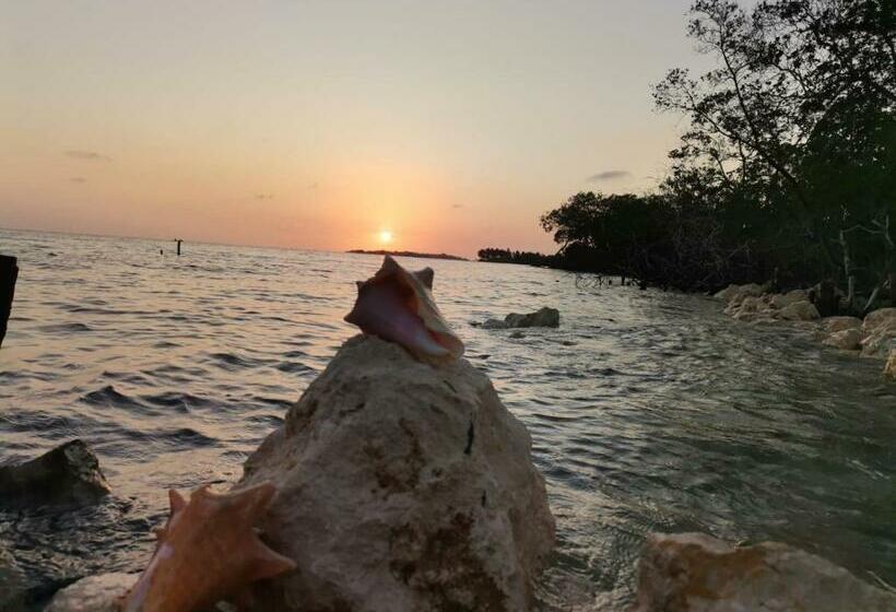 פנסיון Hostel Villa Luz Beach