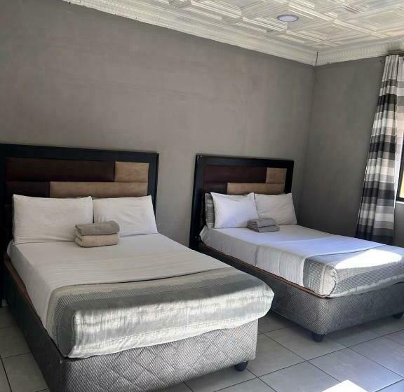 بنسيون L Pack Primrose