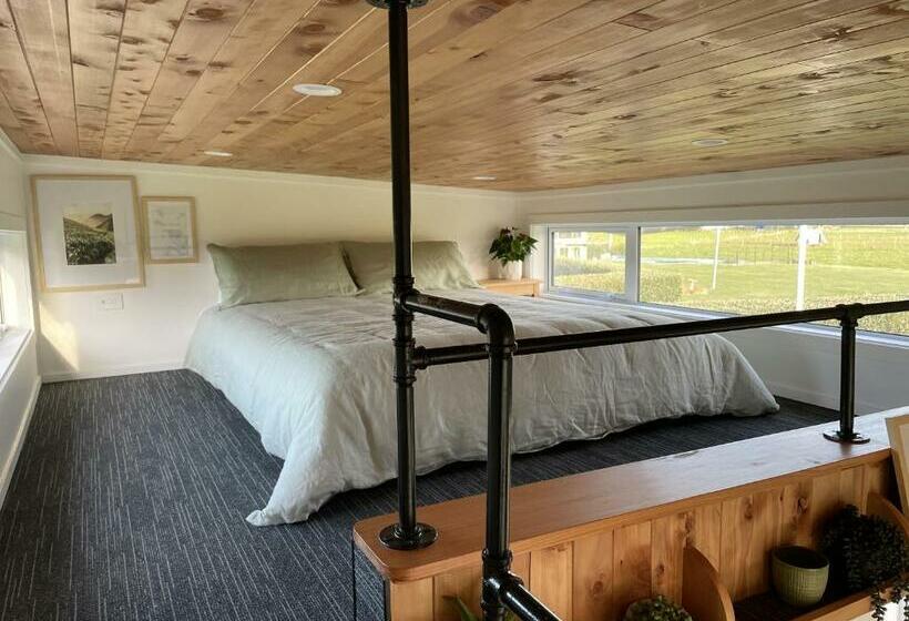 פנסיון The Tiny Nest