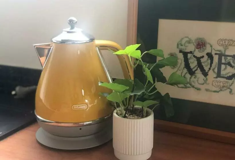 پانسیون The Tiny Nest