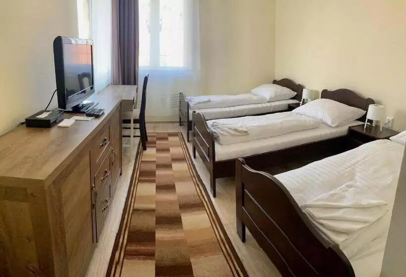 Отель Aranykorona