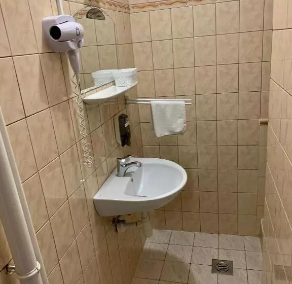 Отель Aranykorona