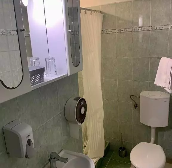 Отель Aranykorona