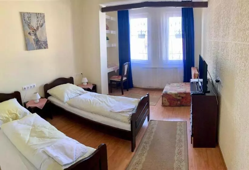 Отель Aranykorona