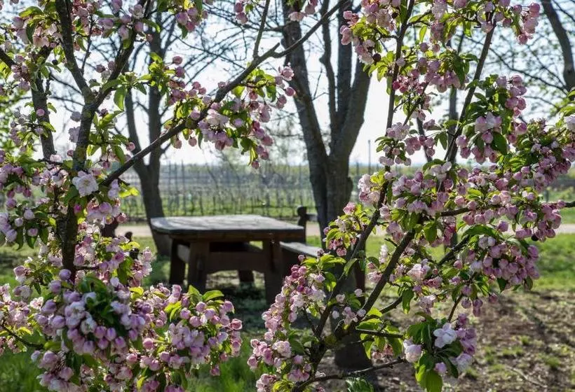 酒店 Bikavölgyi Panzió