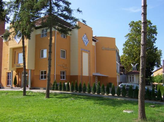 Hotel Bor