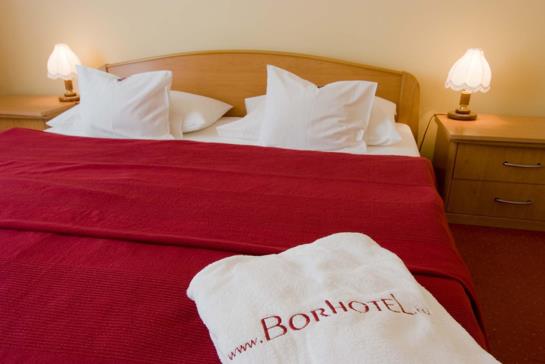 Hotel Bor