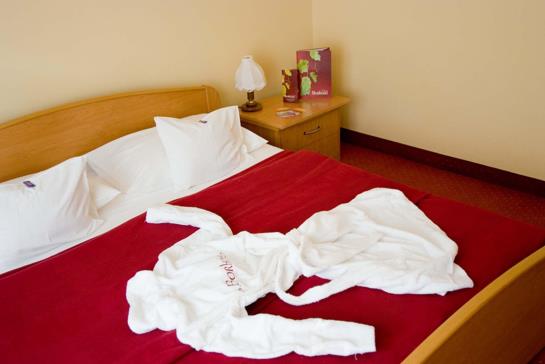 Hotel Bor