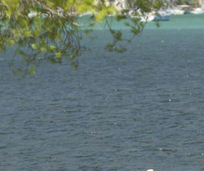 Отель Cleopatra Beach