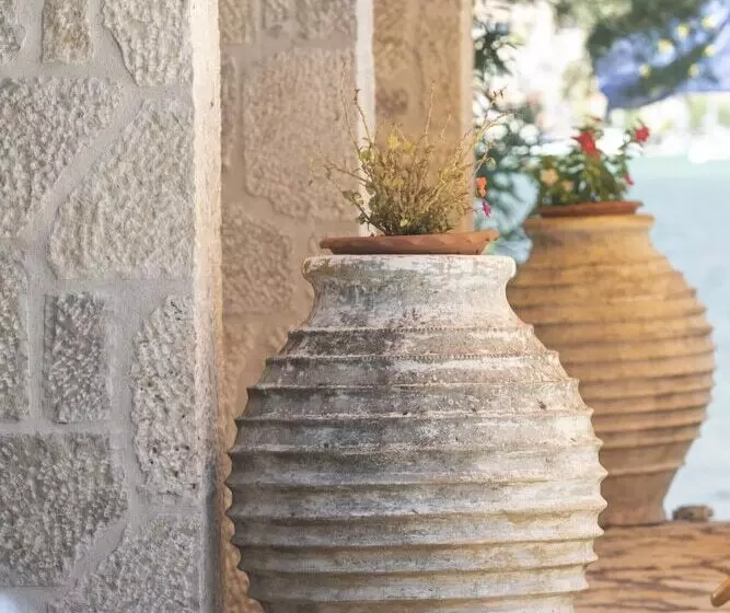 酒店 Cleopatra Beach