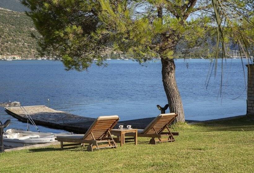 Отель Cleopatra Beach