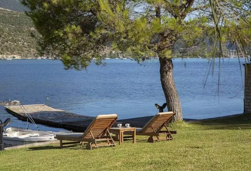 酒店 Cleopatra Beach