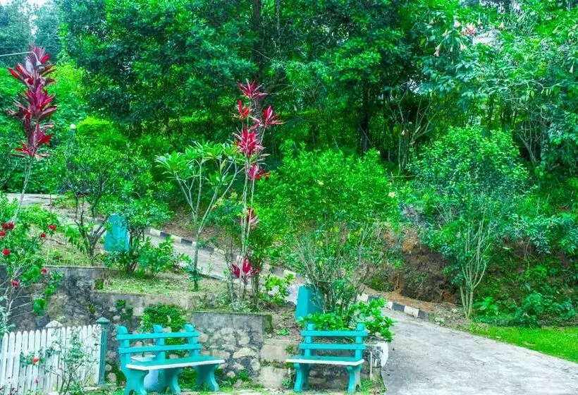 Hotelli The Blue Mountain Resort