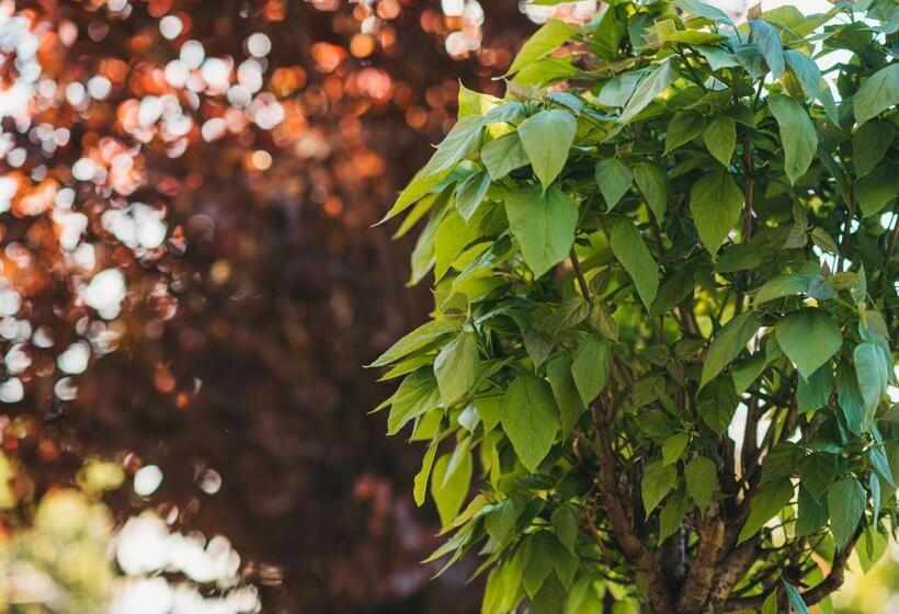 Magra Austria Hotel & Restaurant Prishtine