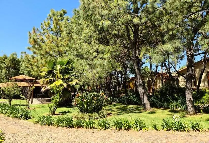 Quinta Tere Hotel & Gallery