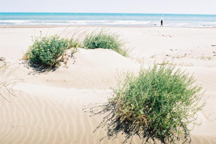 Отель Hostal Restaurant Paca