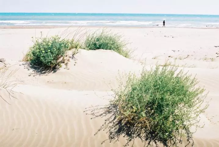 Hotelli Hostal Restaurant Paca