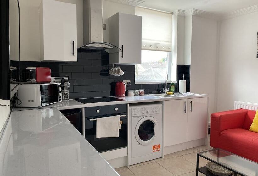 Modern 2 Bedroom Flat In Robert St Swansea