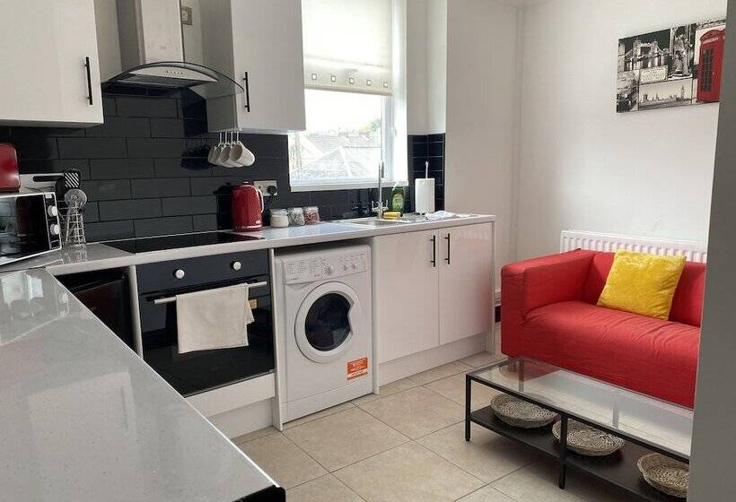 Modern 2 Bedroom Flat In Robert St Swansea