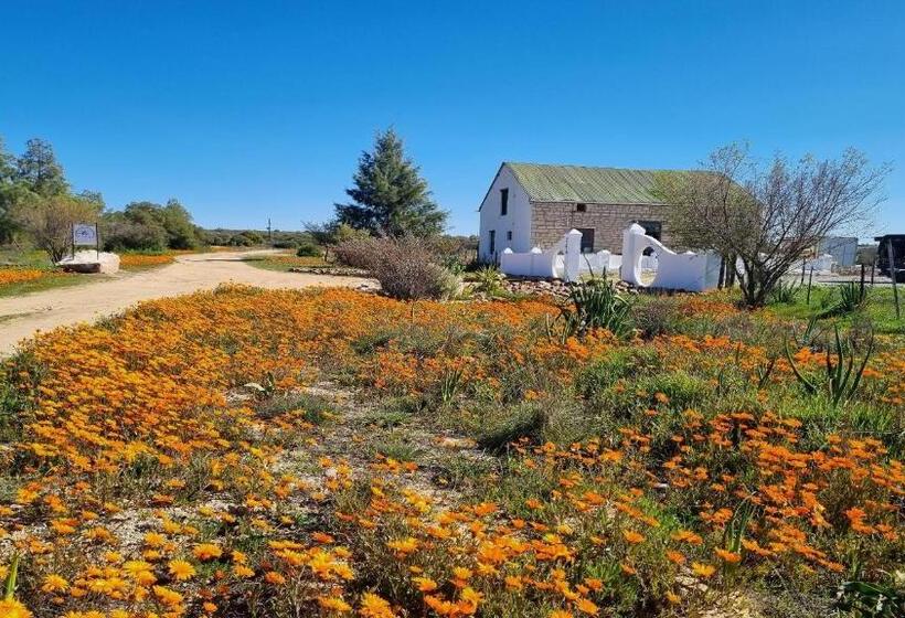 פנסיון Wapad Gastehuis