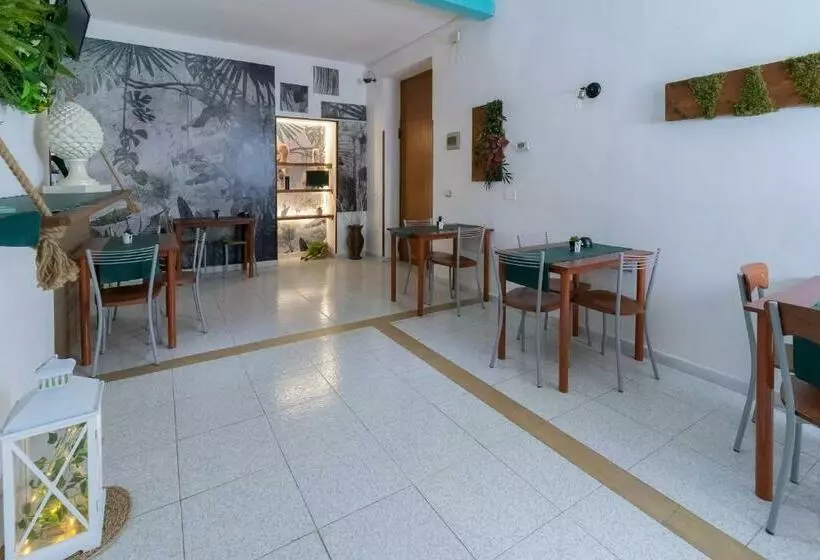 تختخواب و صبحانه Anime Bed&breakfast