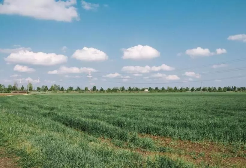 Aamiaismajoitus (B&B) Mela E Pera