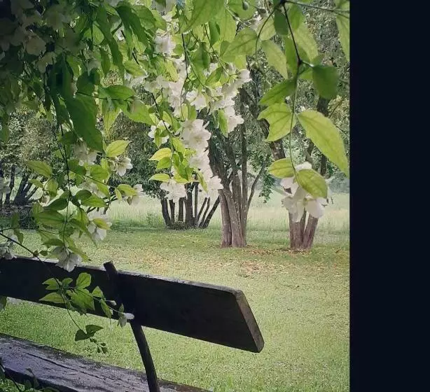 ペンション Maison Blanche