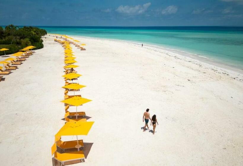 منتجع The Mora Zanzibar   Luxury All Inclusive