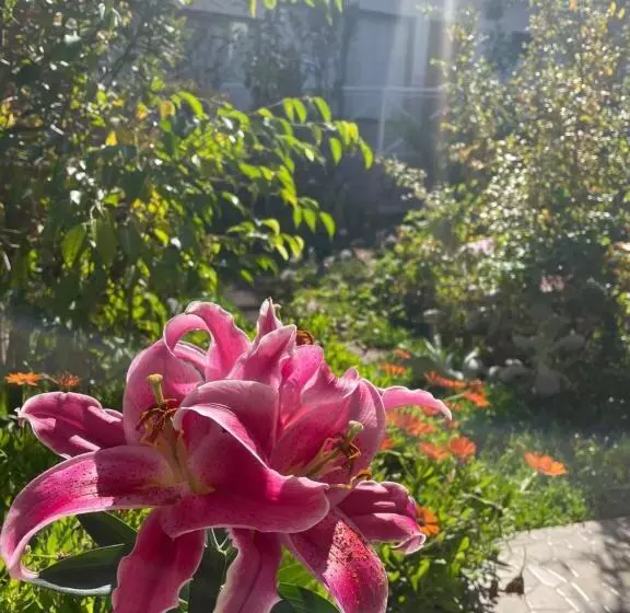 Hotelli Pacífic Suites Tocopilla