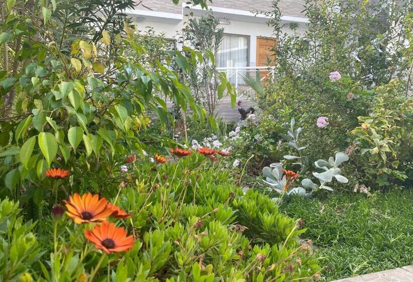 Hotel Pacífic Suites Tocopilla