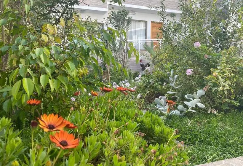 Hotelli Pacífic Suites Tocopilla