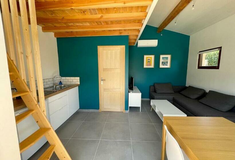 بنسيون Annexe Des Pins   Studio Gîte Avec Piscine & Climatisation