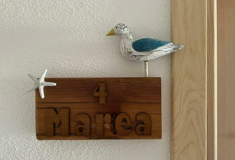 פנסיון Domoemare