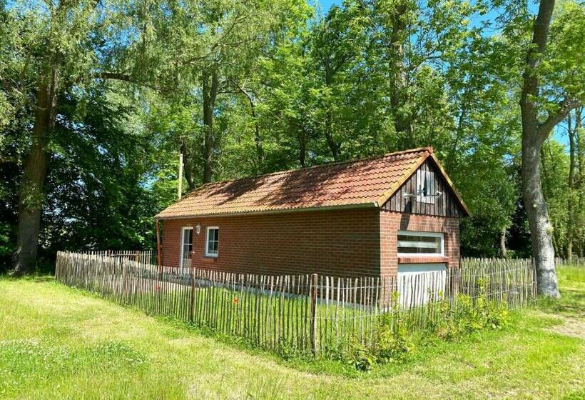 Hofgut Bisdamitz   Ferienhaus Knoff