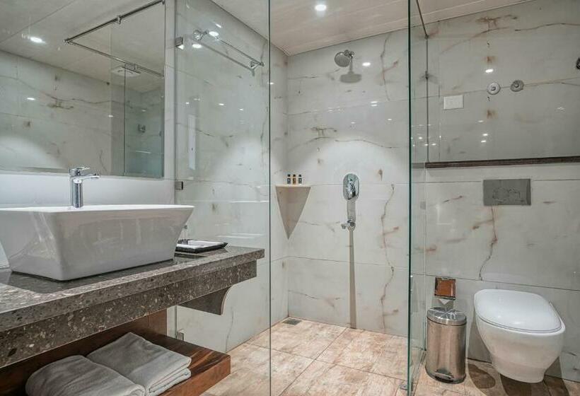 Hotel Agate Pandora, Kufri