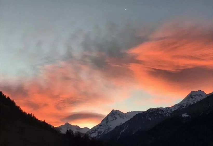 Becca Miedzo Appartement