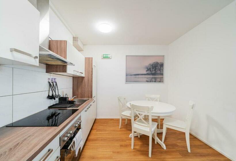 Central Apartment Lofts