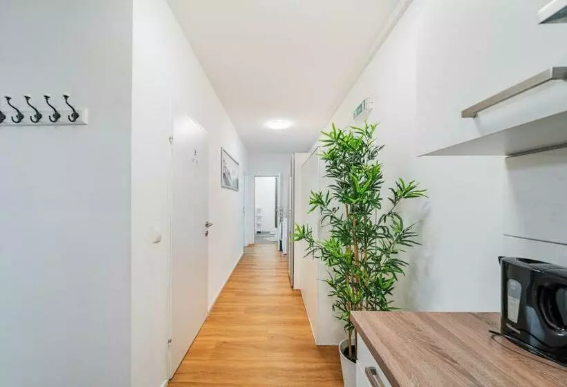 Central Apartment Lofts