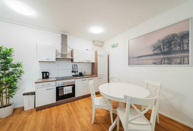 Central Apartment Lofts