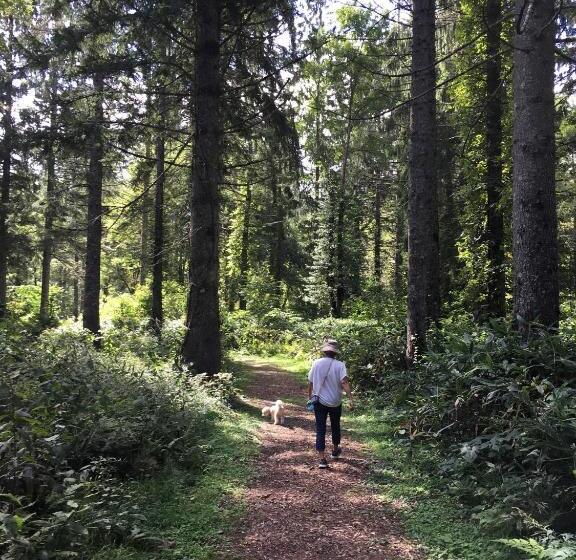 Myoko Woodland Lodge