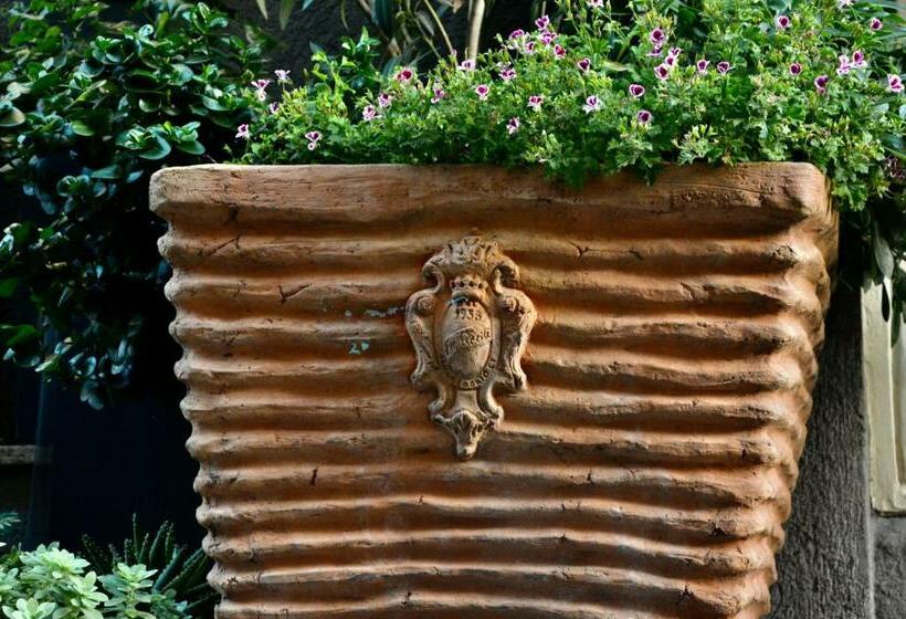 بنسيون Protodomus