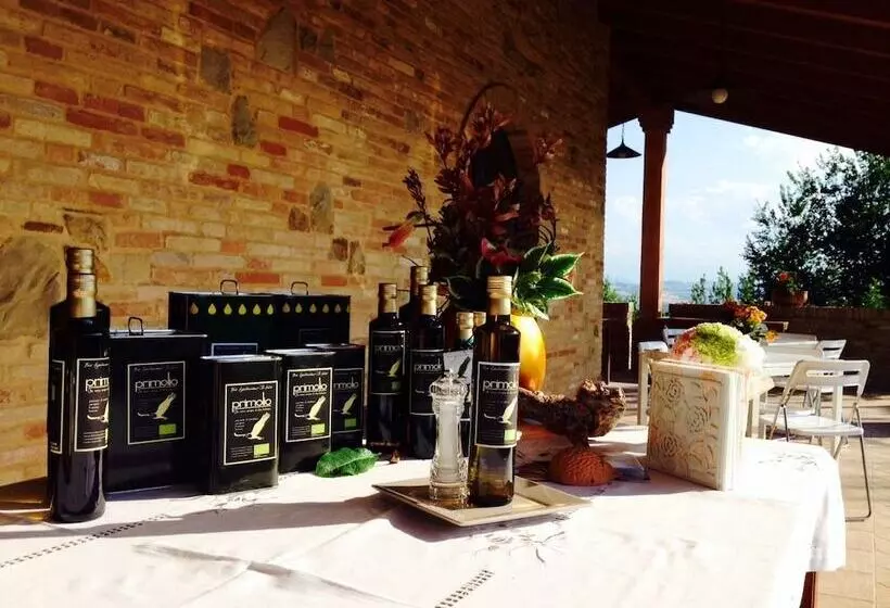 Bed and Breakfast Agriturismo Il Falco