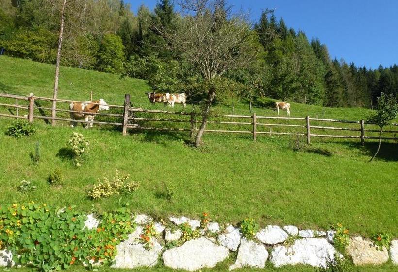 Bed and Breakfast Pension Ehrenfried   Hotel Garni