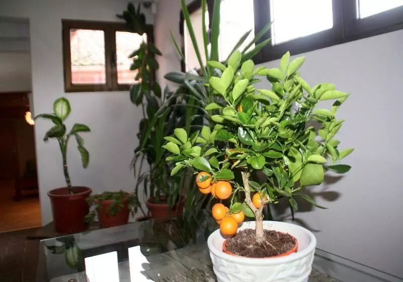 簡易ホテル Venta Magullo