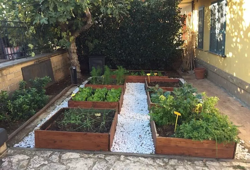 ホテル Albergo Da Benedetta